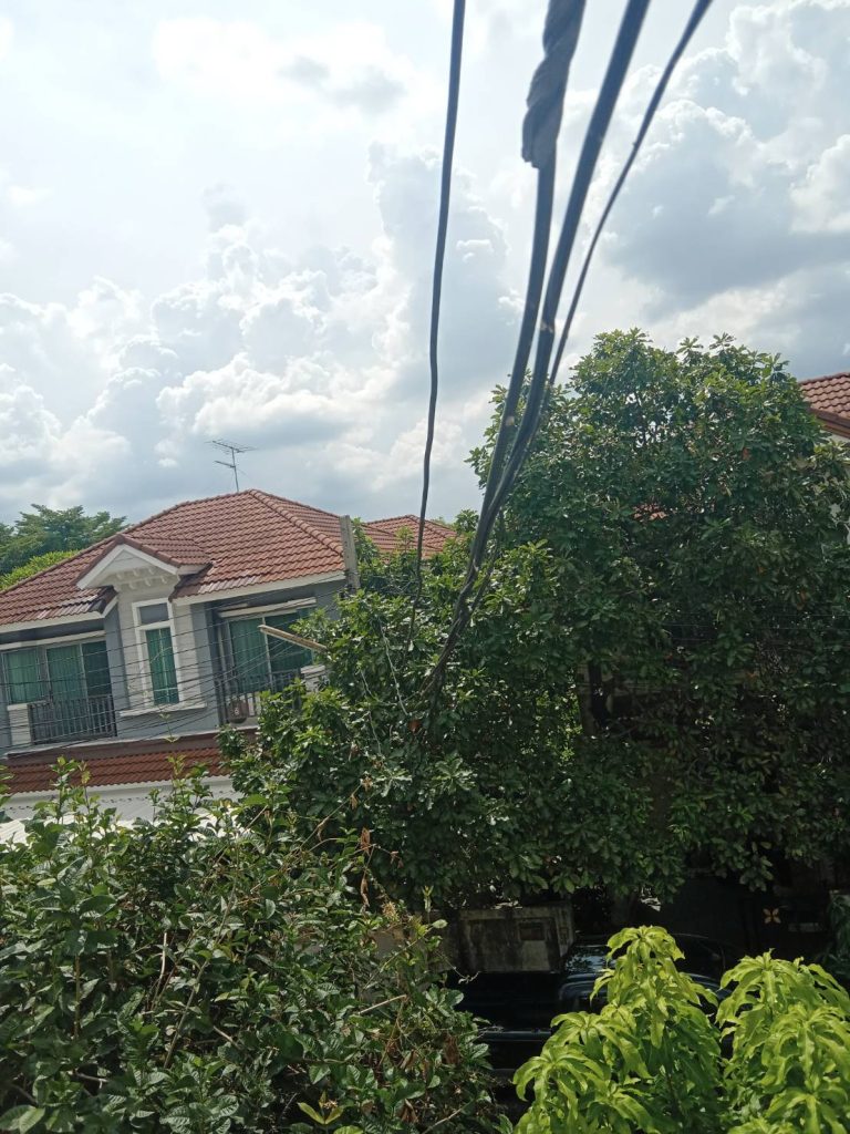 แนวสายเมน