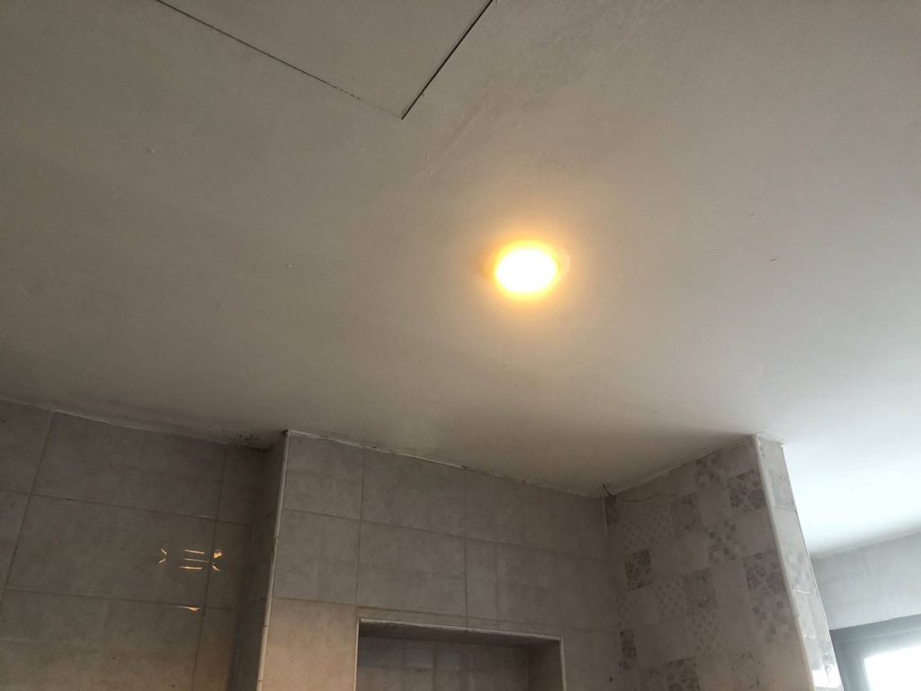 ดาวน์ไลท์