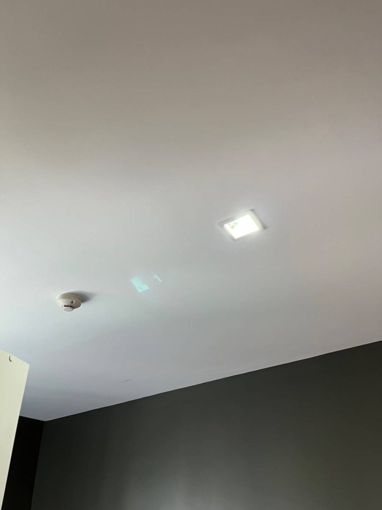 ดาวน์ไลท์