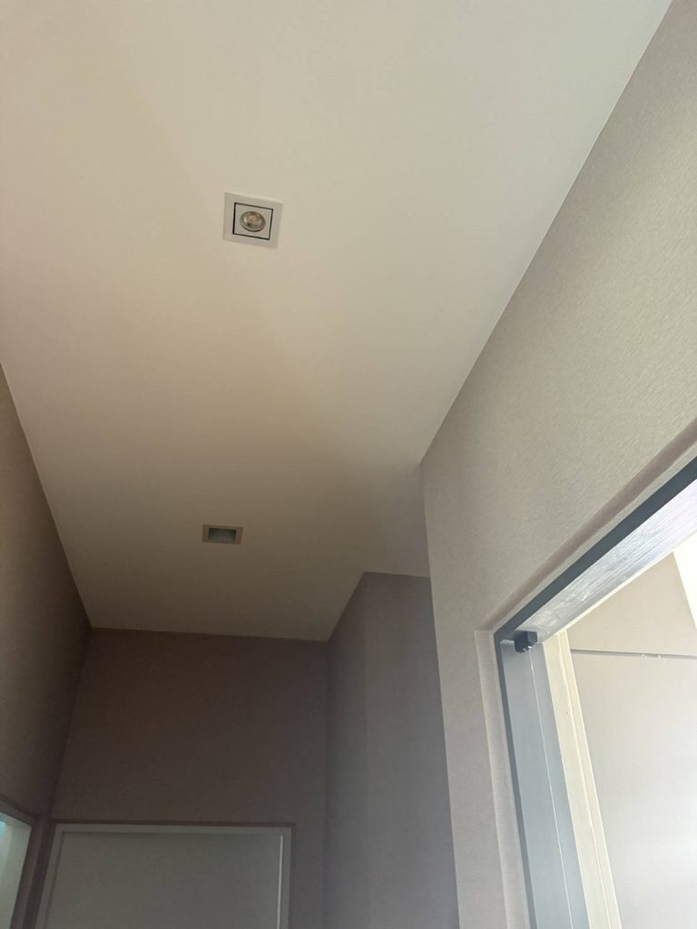 ดาวน์ไลท์