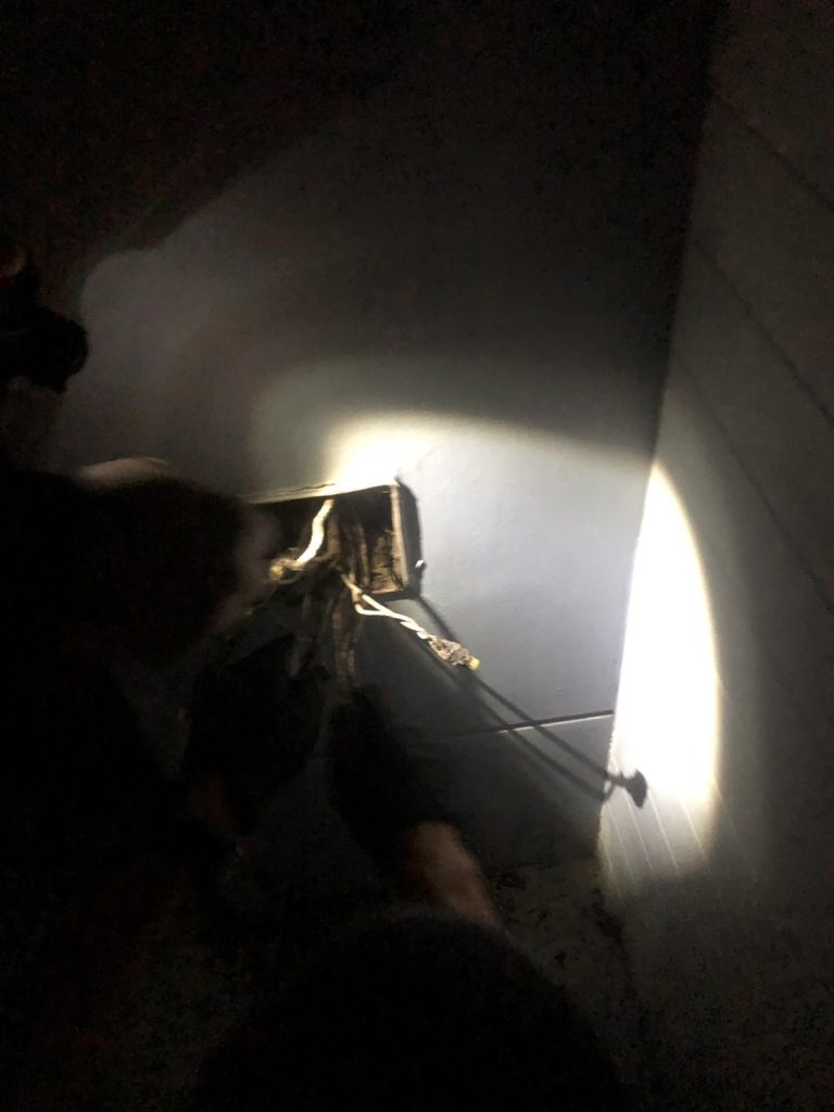 ซ่อมสายไฟในกล่องรวมสายไฟที่ปลวกทำรัง