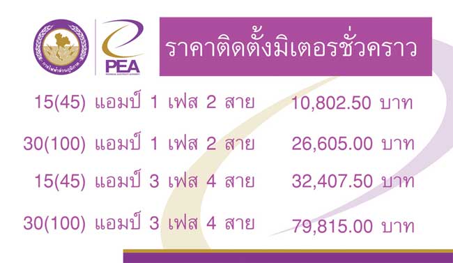 รูปภาพนี้มี Alt แอตทริบิวต์เป็นค่าว่าง ชื่อไฟล์คือ temporary-meter-pea.jpg