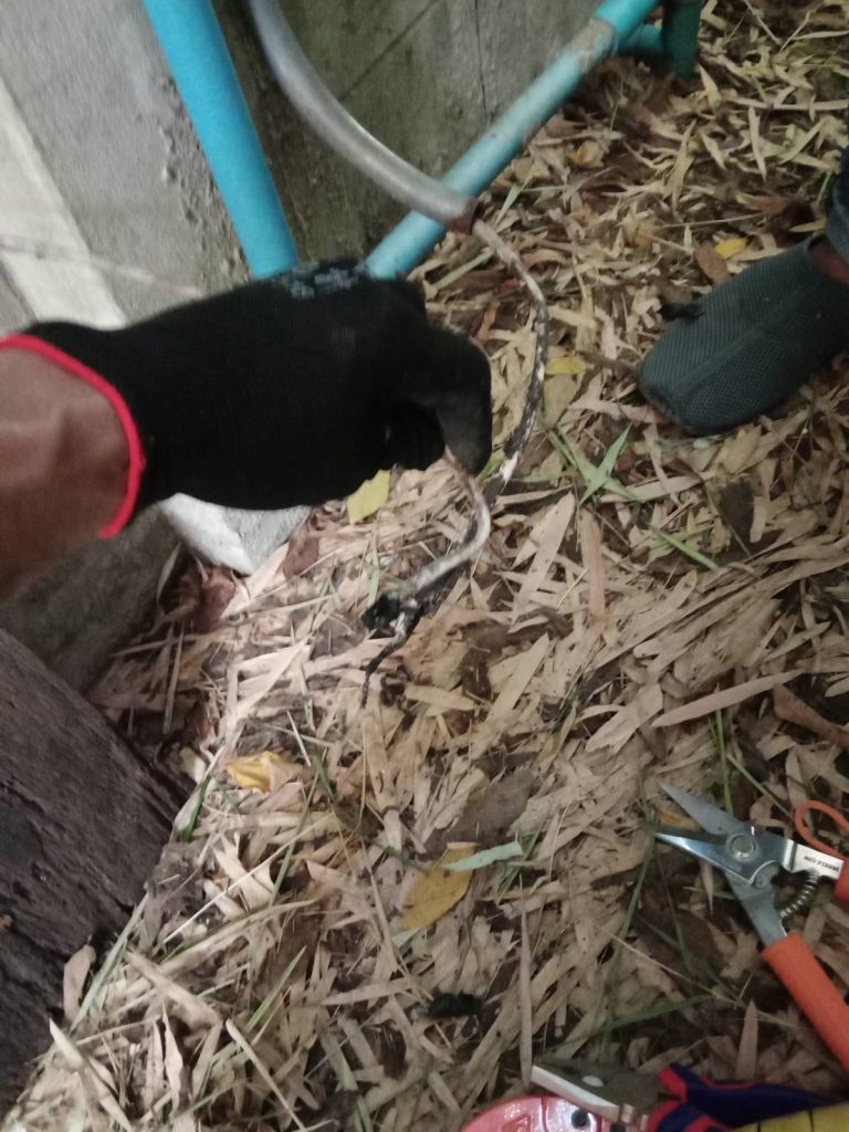 สายไฟชำรุด