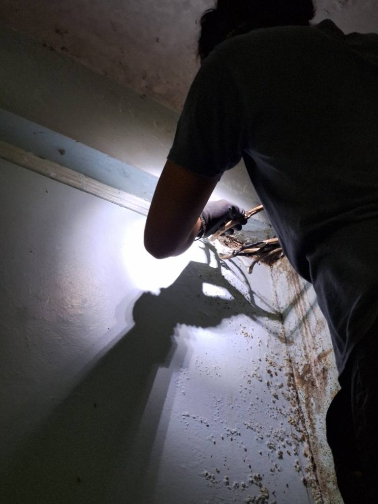 ซ่อมสายช็อต