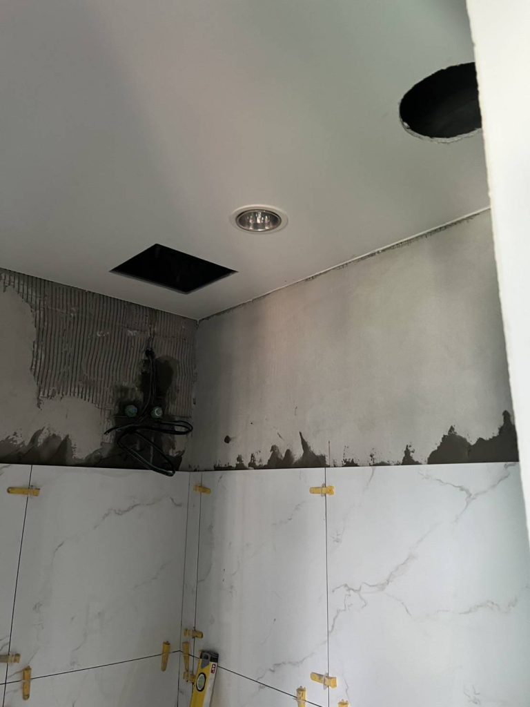 ดาวน์ไลท์