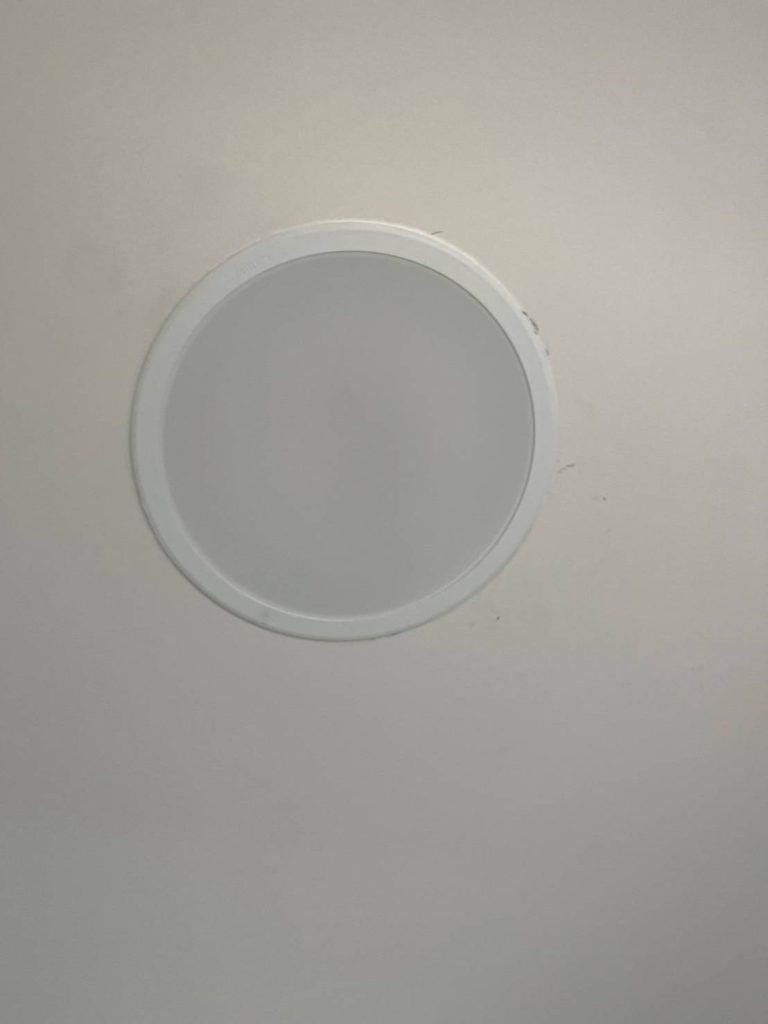 ดาวน์ไลท์