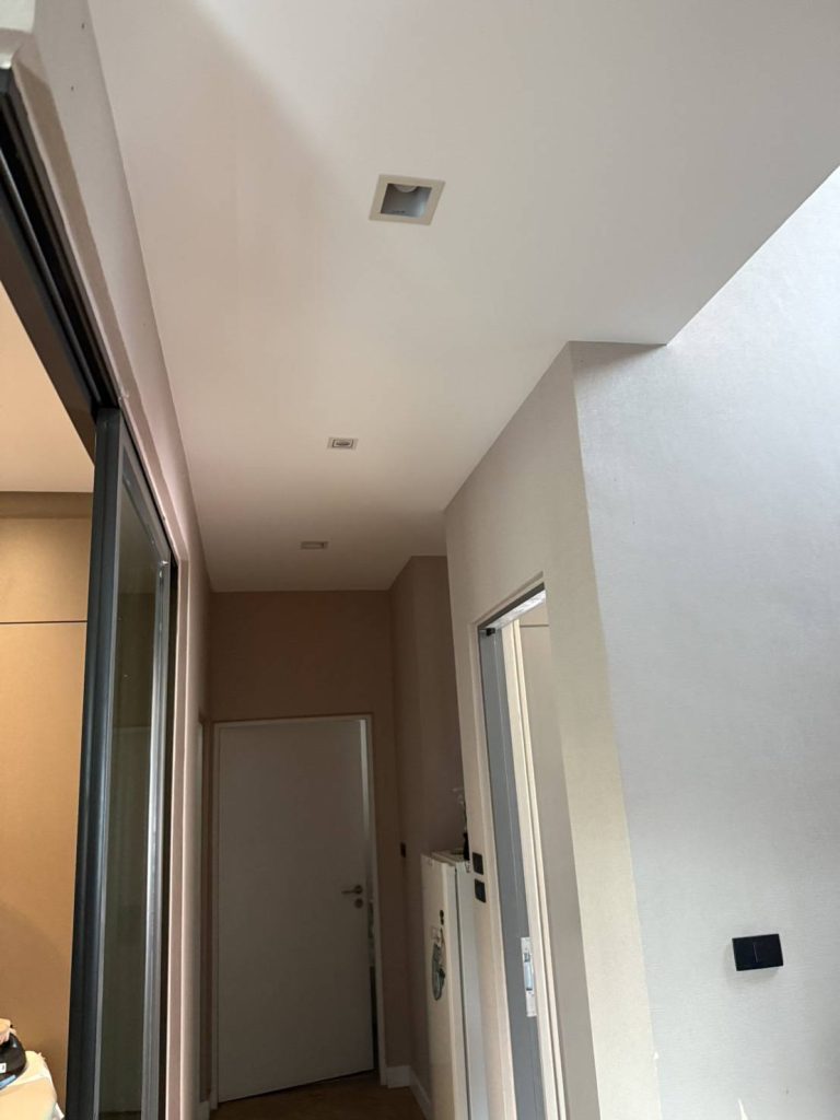 ดาวน์ไลท์