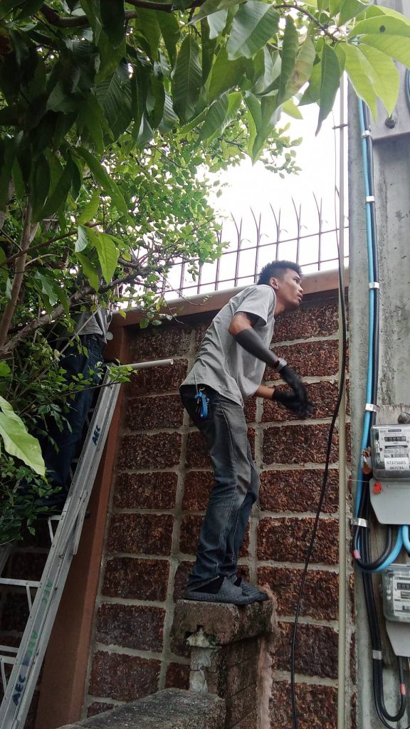 เช็กแนวสายไฟ