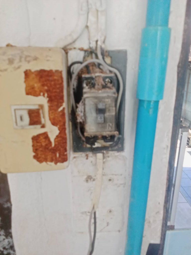 เบรกเกอร์มดเข้าไปทำรังทำให้ไฟช็อต