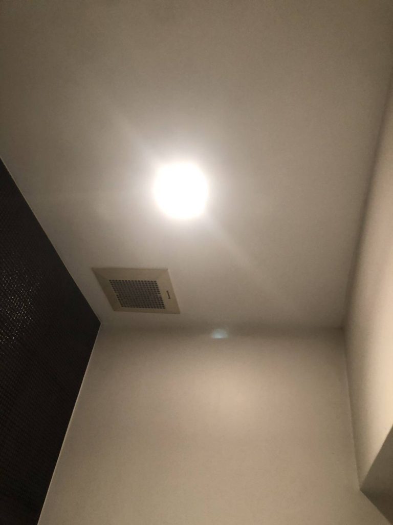 ดาวน์ไลท์