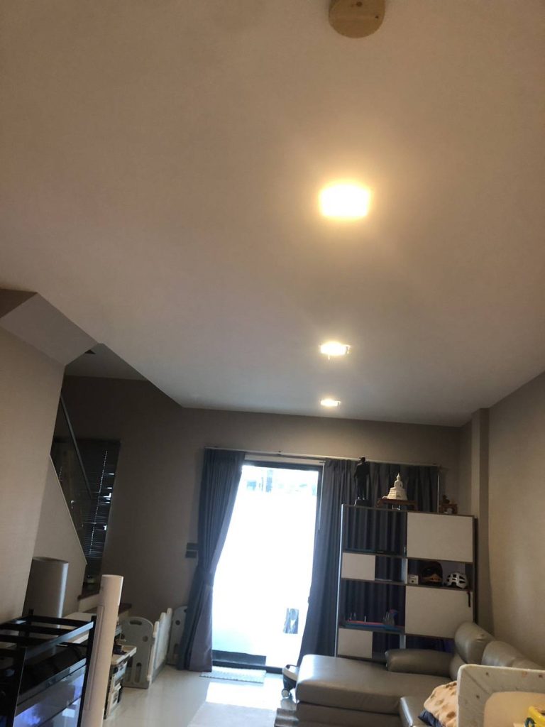 ดาวน์ไลท์