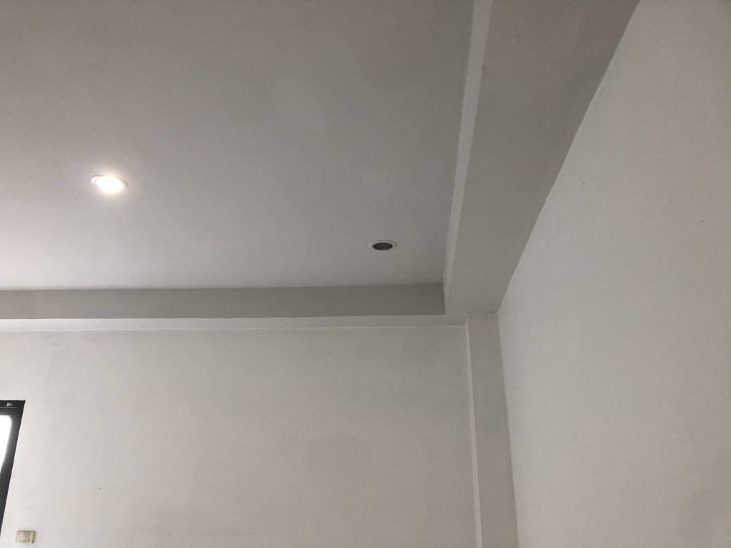 ดาวน์ไลท์