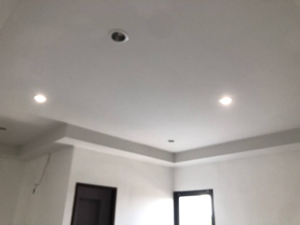 ดาวน์ไลท์