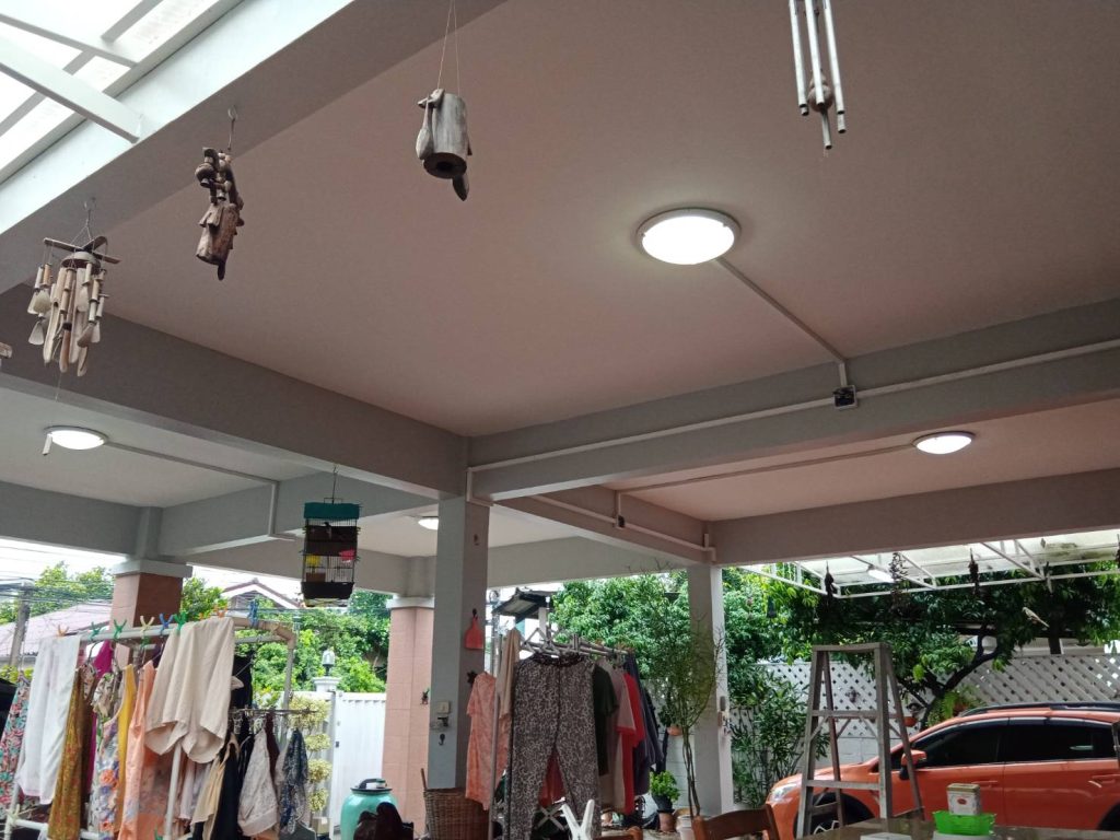 ดาวน์ไลท์