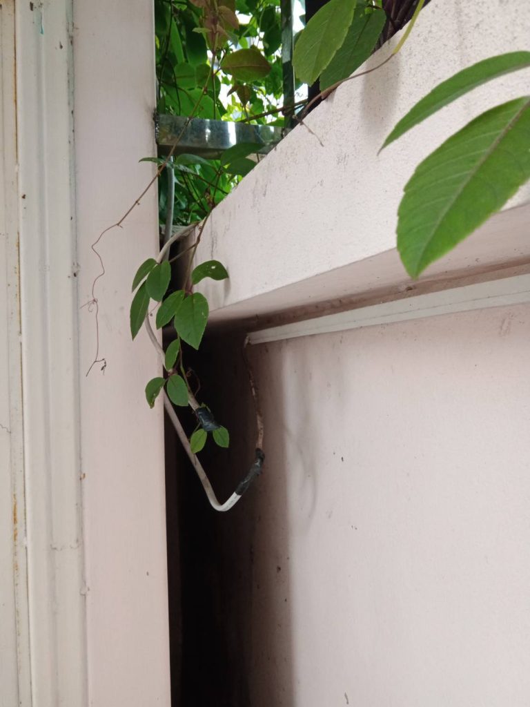 แนวรางสายไฟ