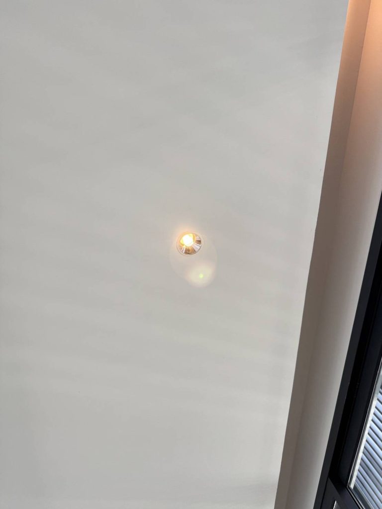 ดาวน์ไลท์