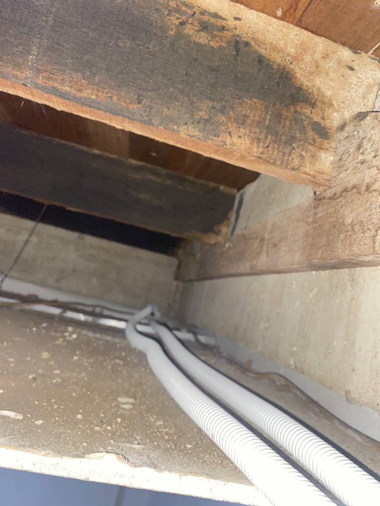 แนวท่อสายไฟบนฝ้า