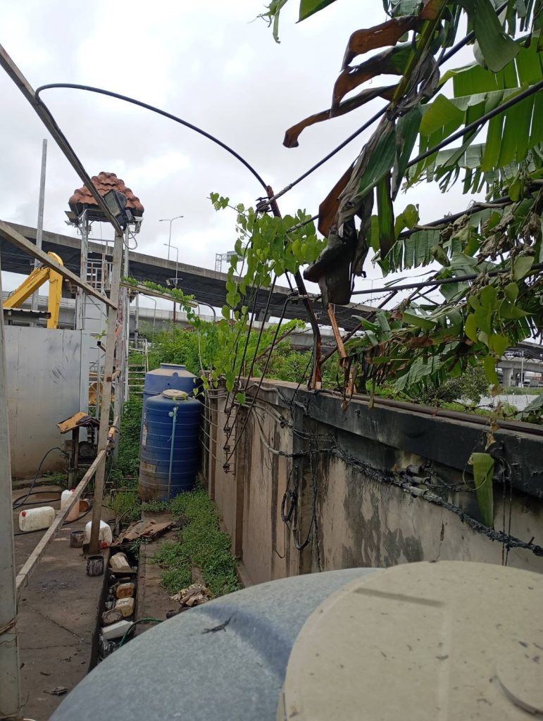 แนวสายไฟที่เสียหายจากไฟไหม้