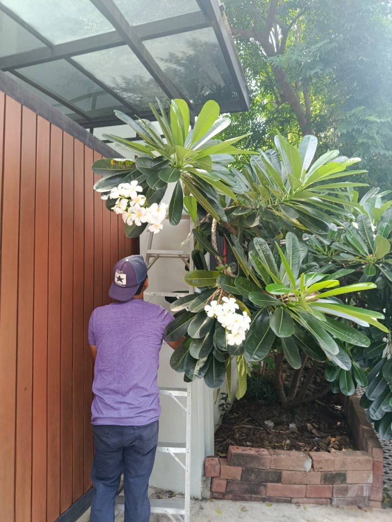 ปีนบันไดเช็กไฟ