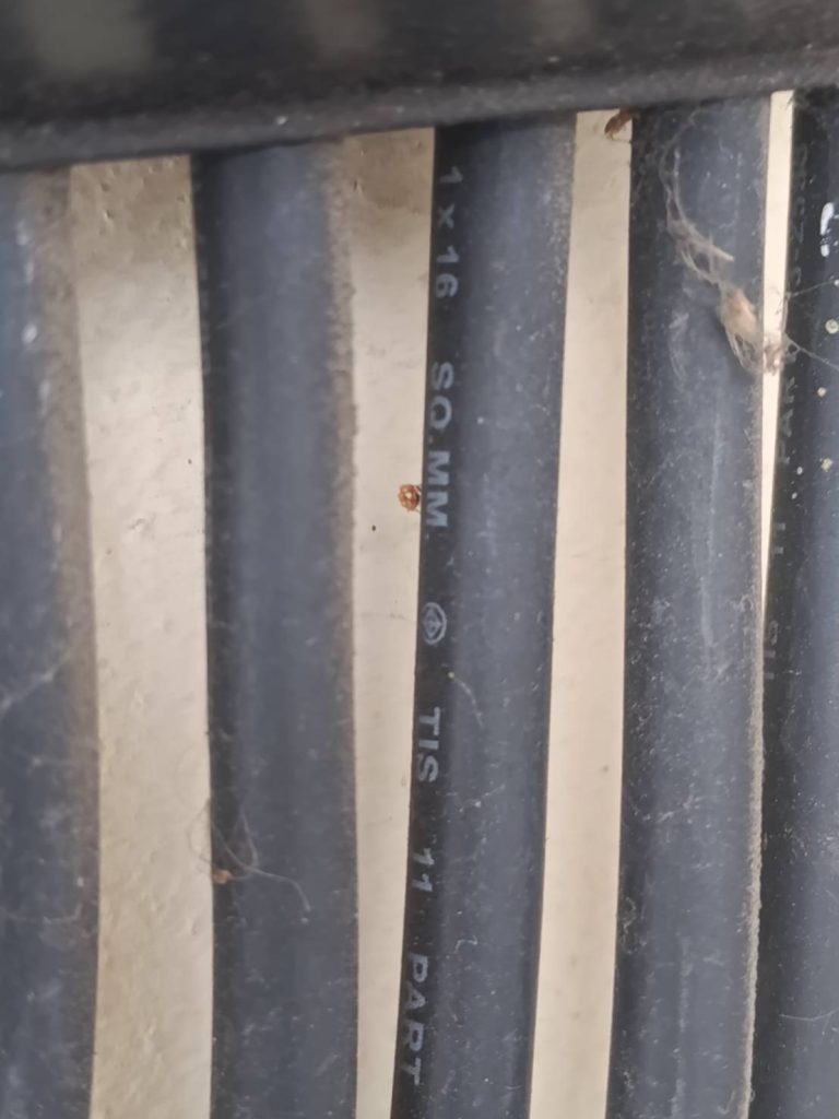 สายเมนเข้ามิเตอร์