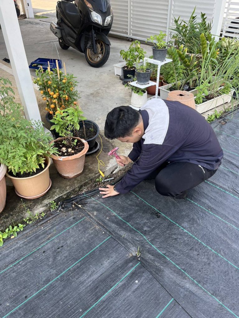 ตอกหลักวัดค่ากราวด์