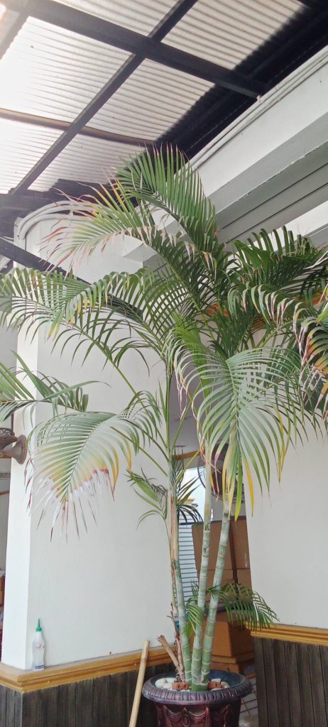 แนวท่อสายไฟ