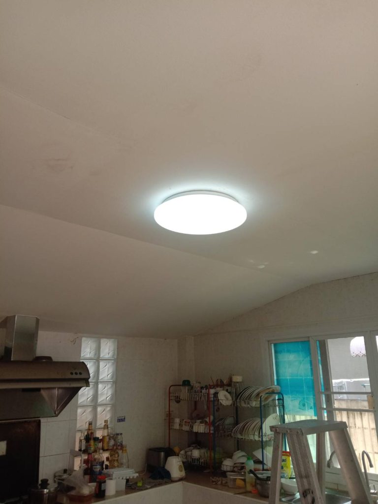 ดาวน์ไลท์