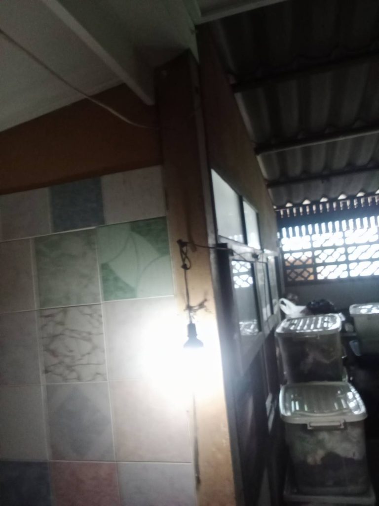 หลอดไฟต่อสายชั่วคราว