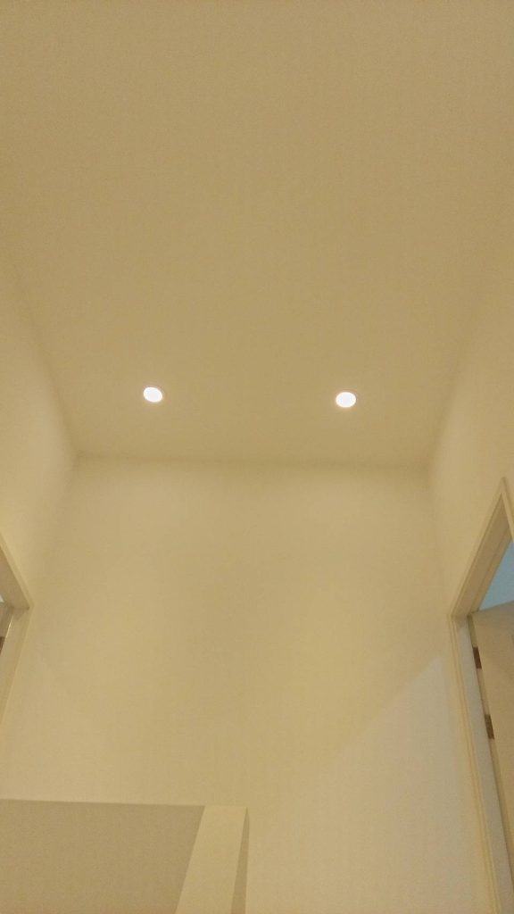 ดาวน์ไลท์