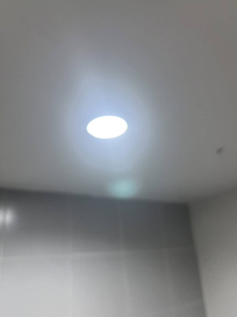 ดาวน์ไลท์