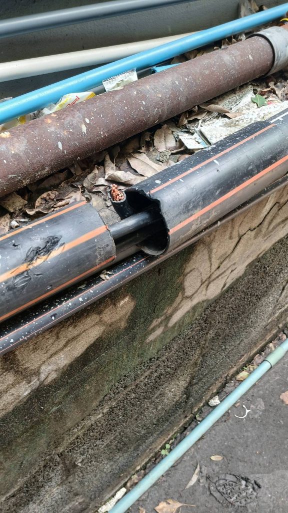 สายไฟในท่อร้อยสาย