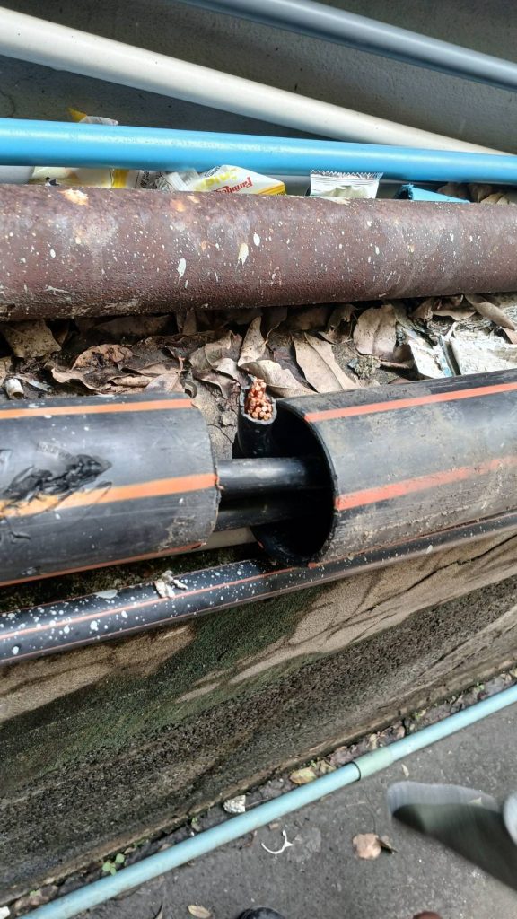 สายไฟในท่อร้อยสาย