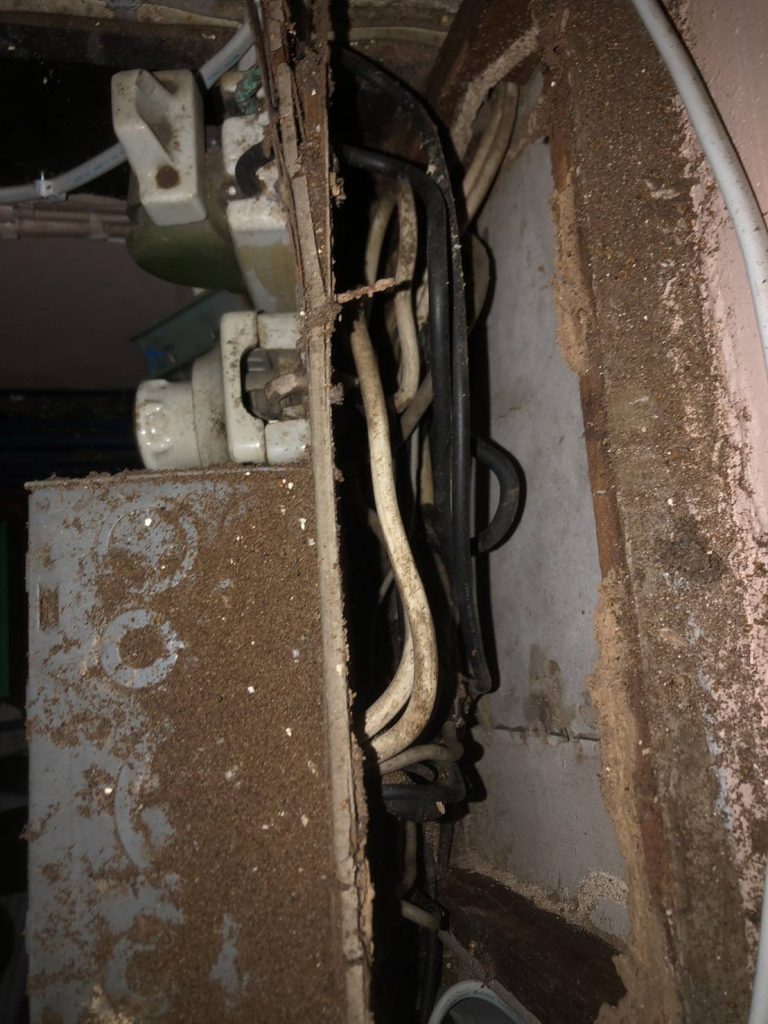 ตู้ไฟที่มีรอยปลวก