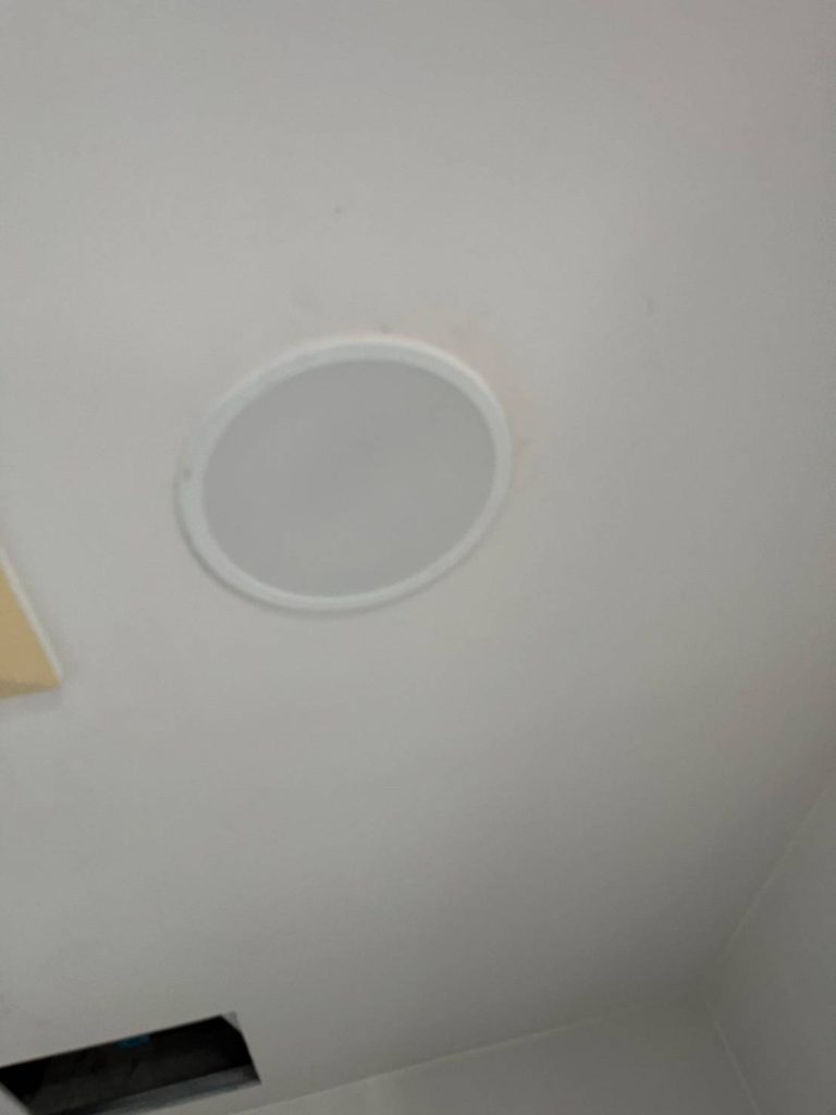 ดาวน์ไลท์