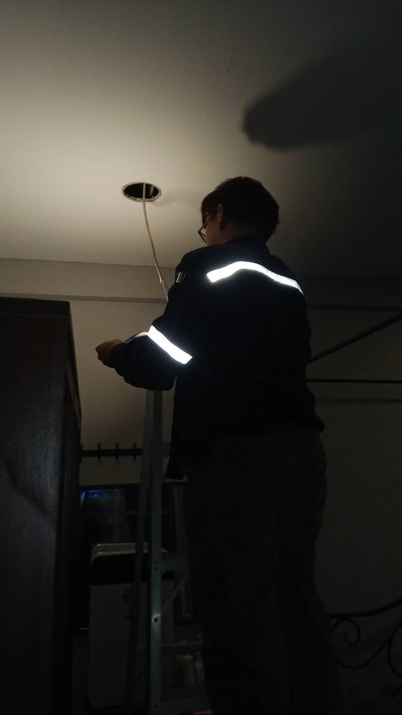 ตรวจเช็กดาวน์ไลท์