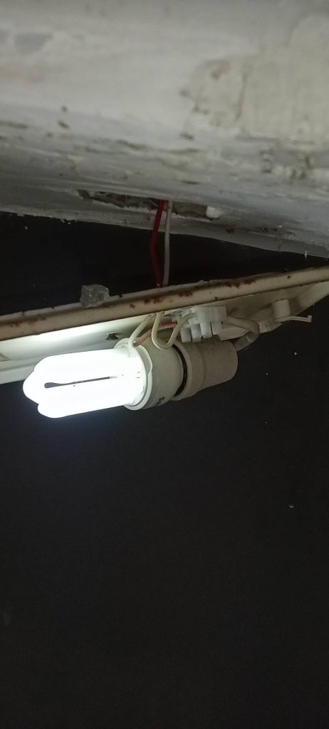 หลอดตะเกียบ