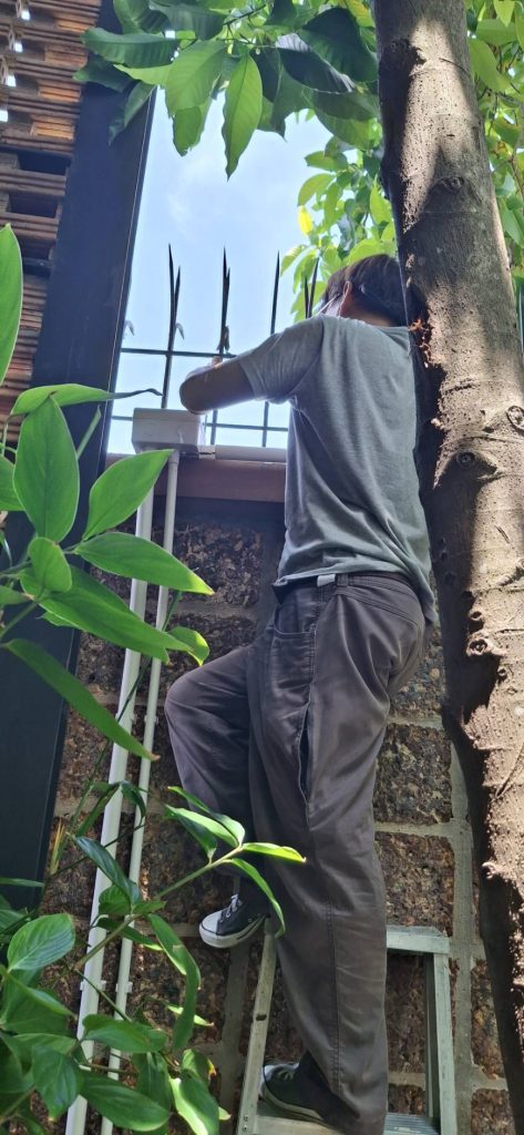 เดินสายไฟ