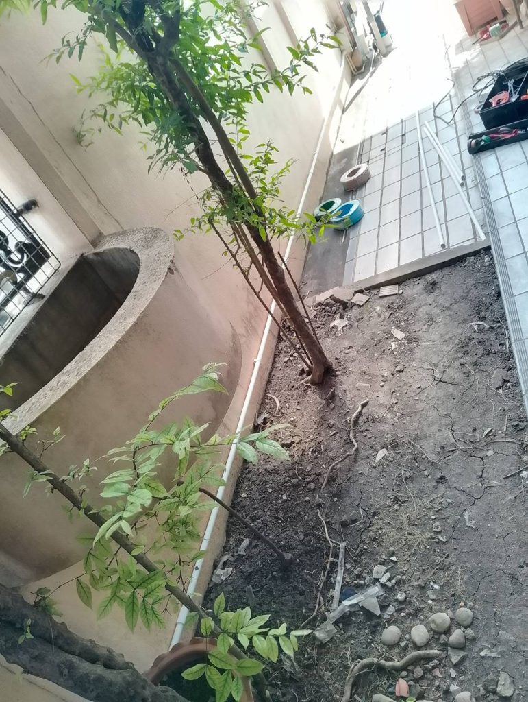 เดินท่อร้อยสาย