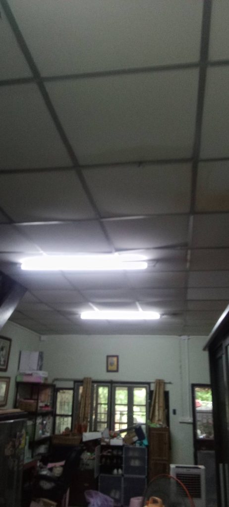 หลอดฟลูออเรสเซนต์