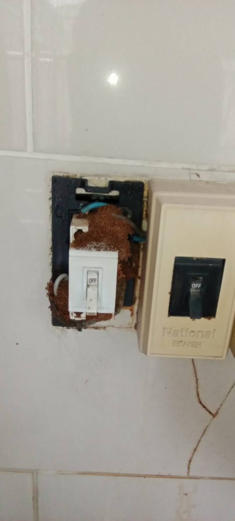 คัทเอาท์