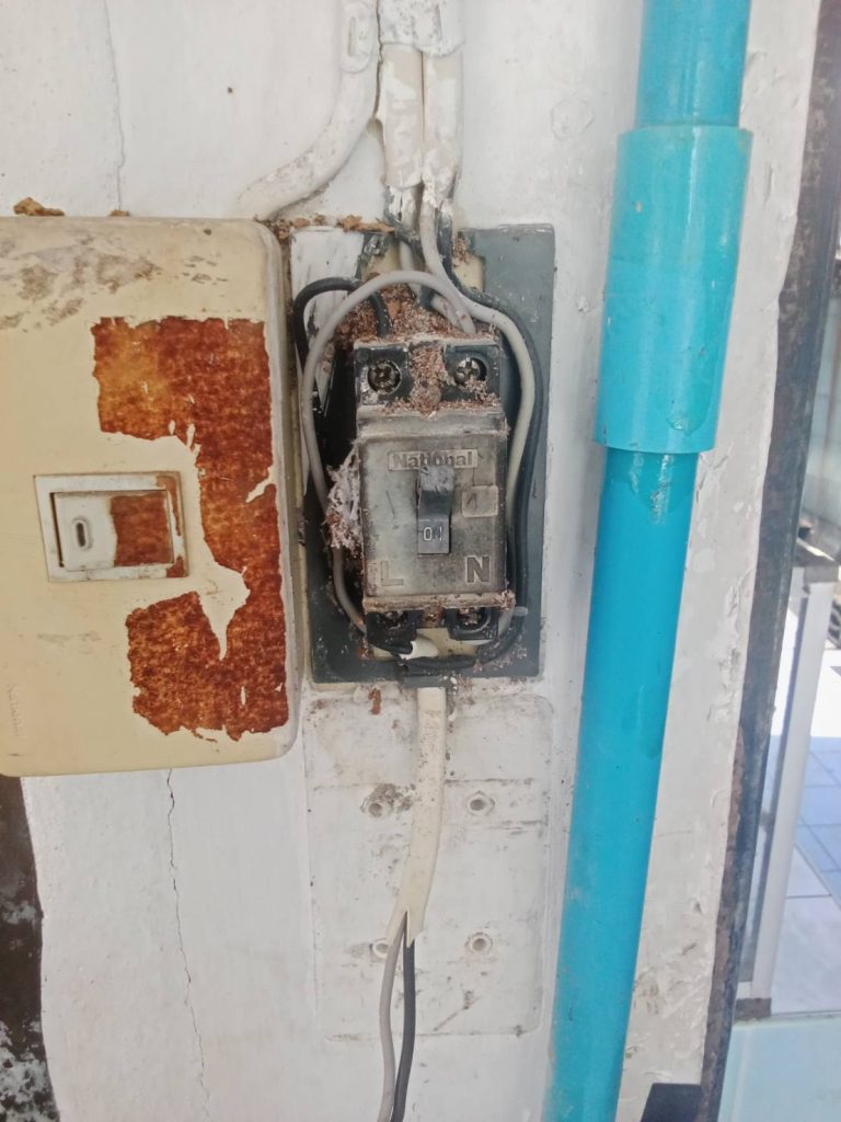 เบรกเกอร์มดเข้าไปทำรังทำให้ไฟช็อต