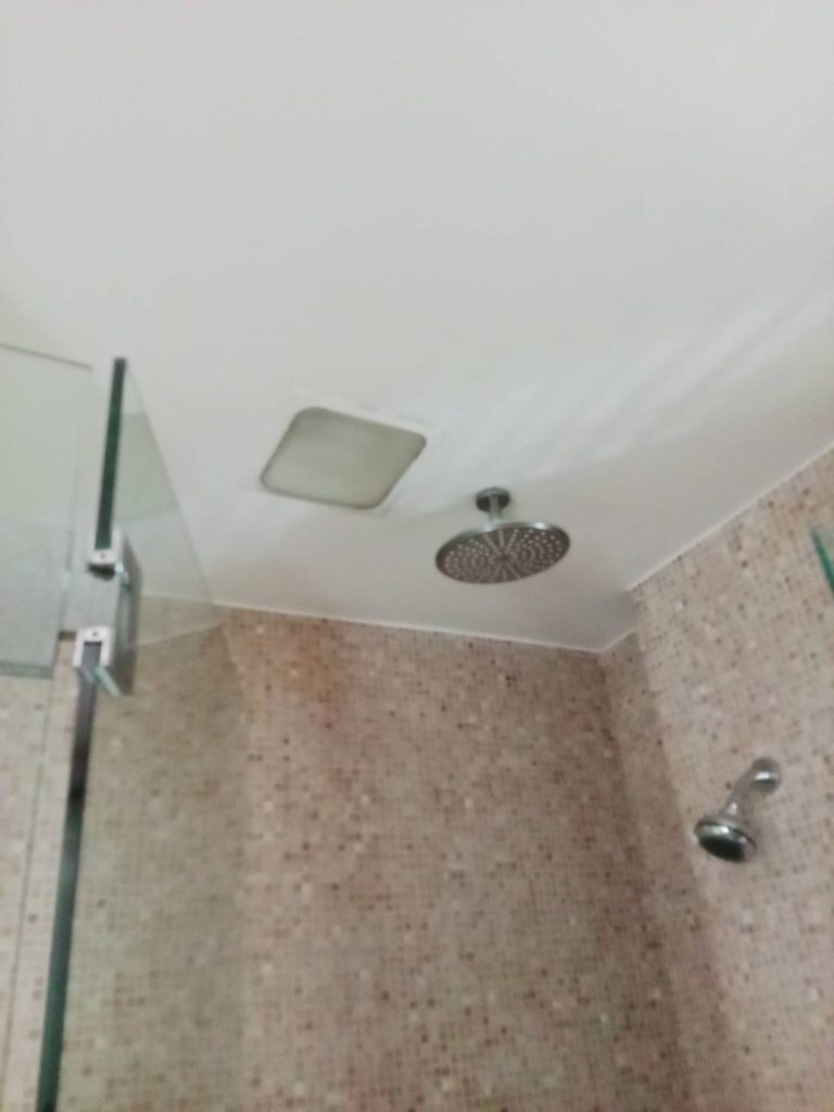 ดาวน์ไลท์