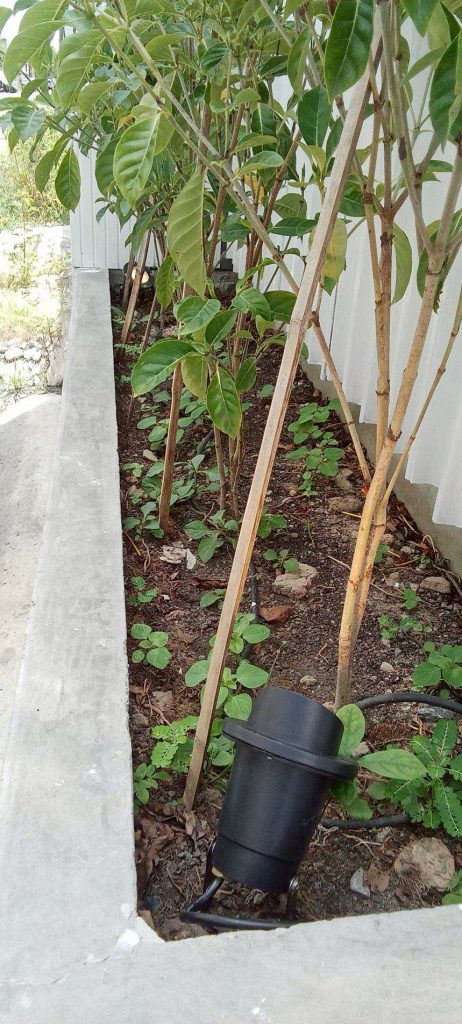 โคมไฟ