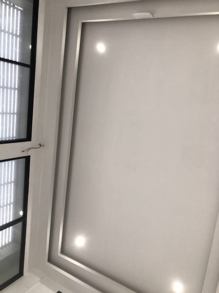 ดาวน์ไลท์