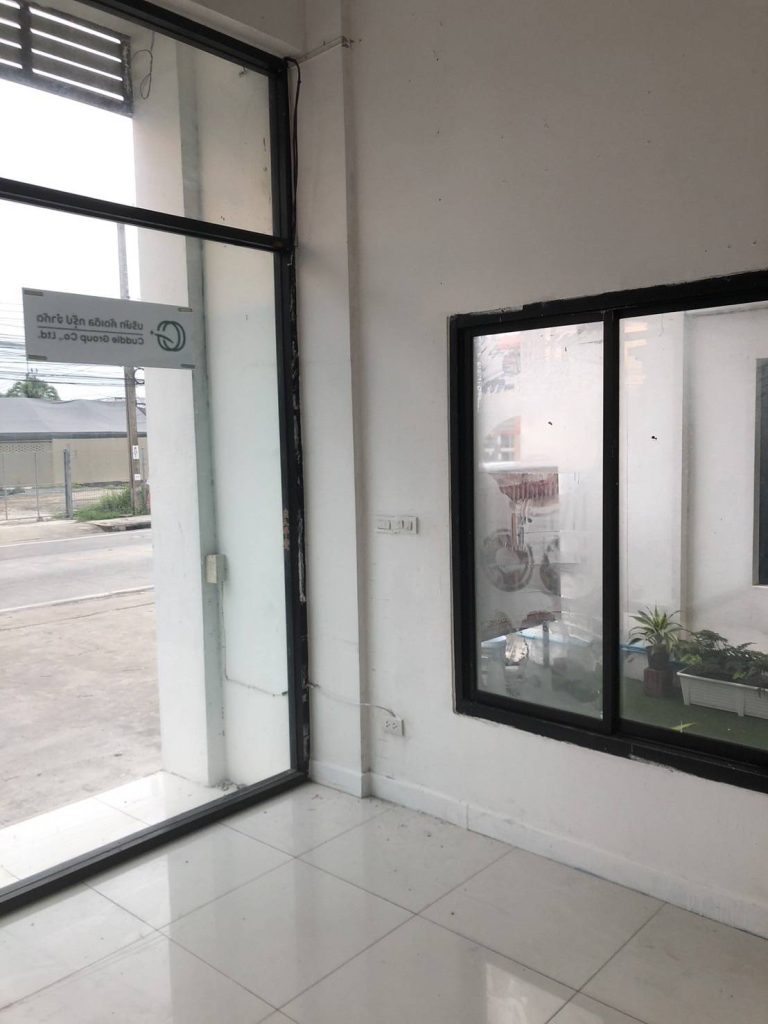 ปลั๊กและสวิตช์