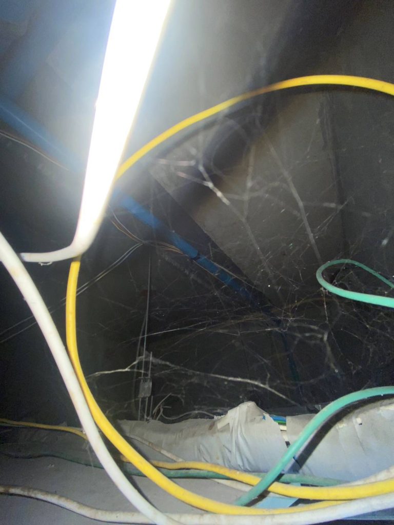 สายไฟบนฝ้า