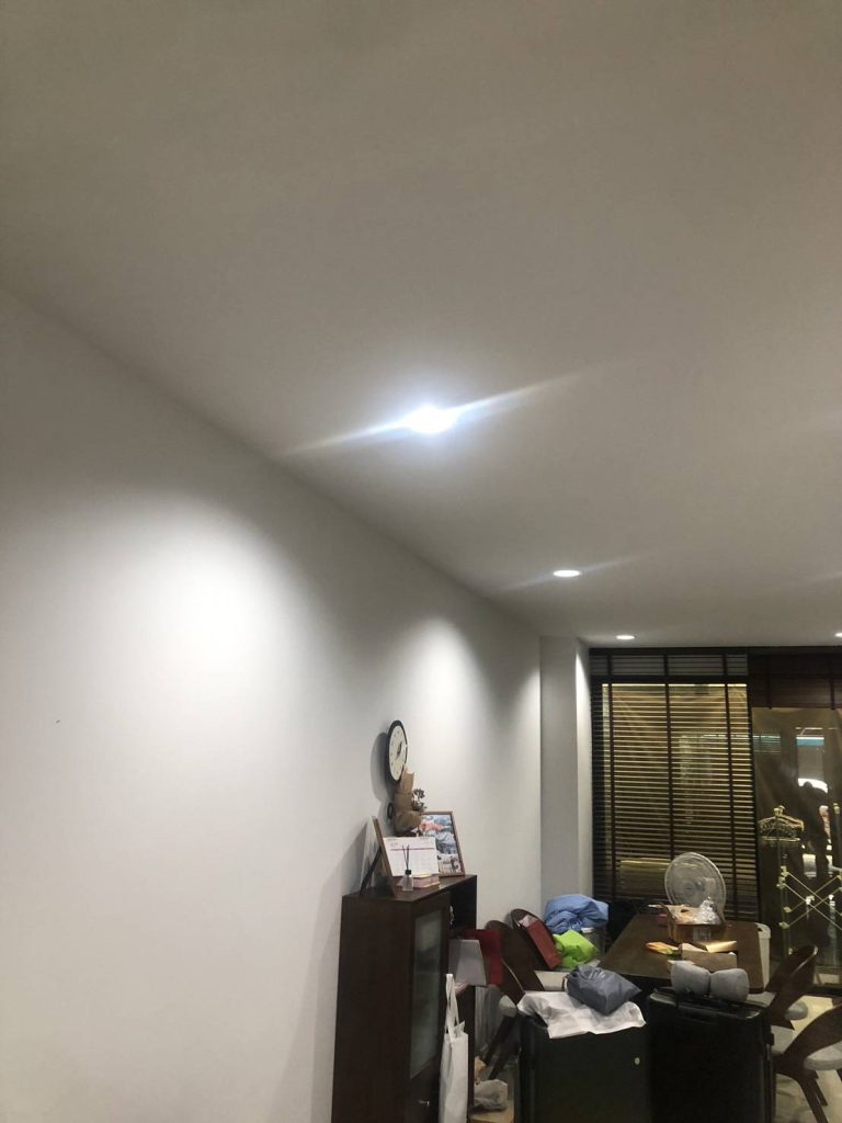 ดาวน์ไลท์