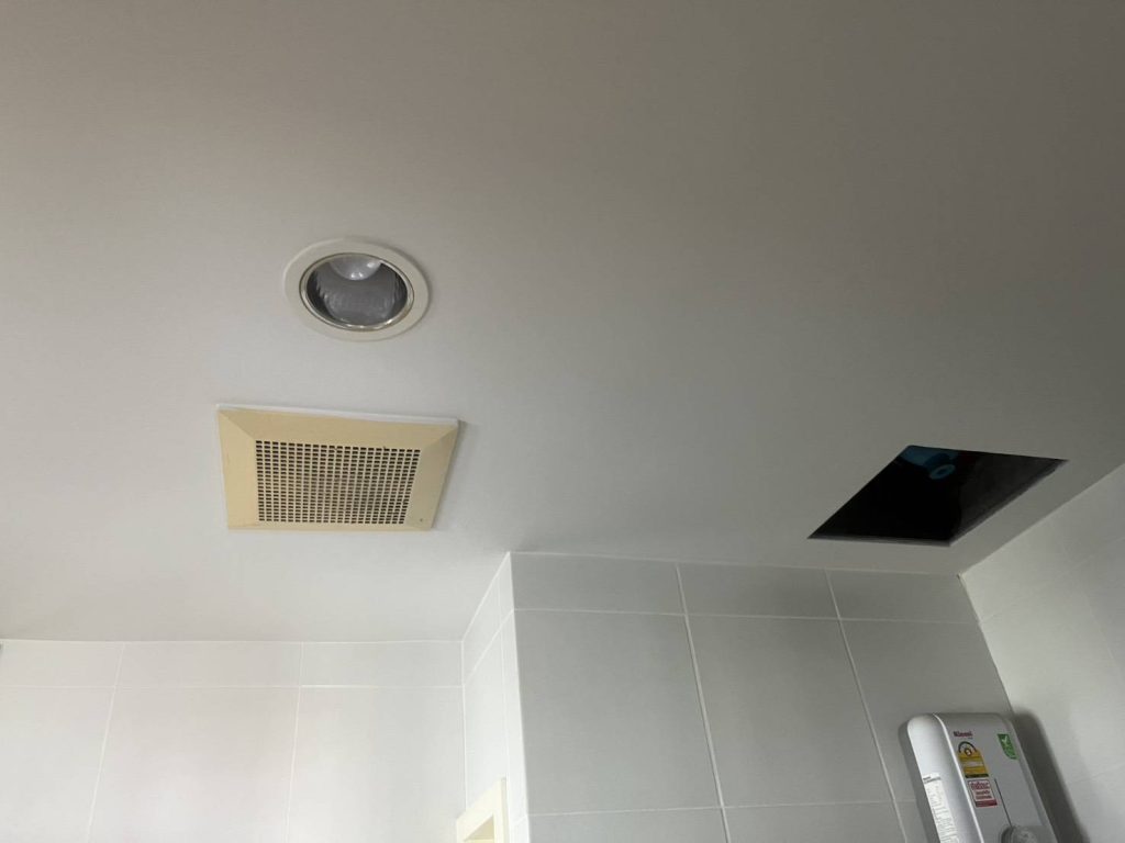 ดาวน์ไลท์