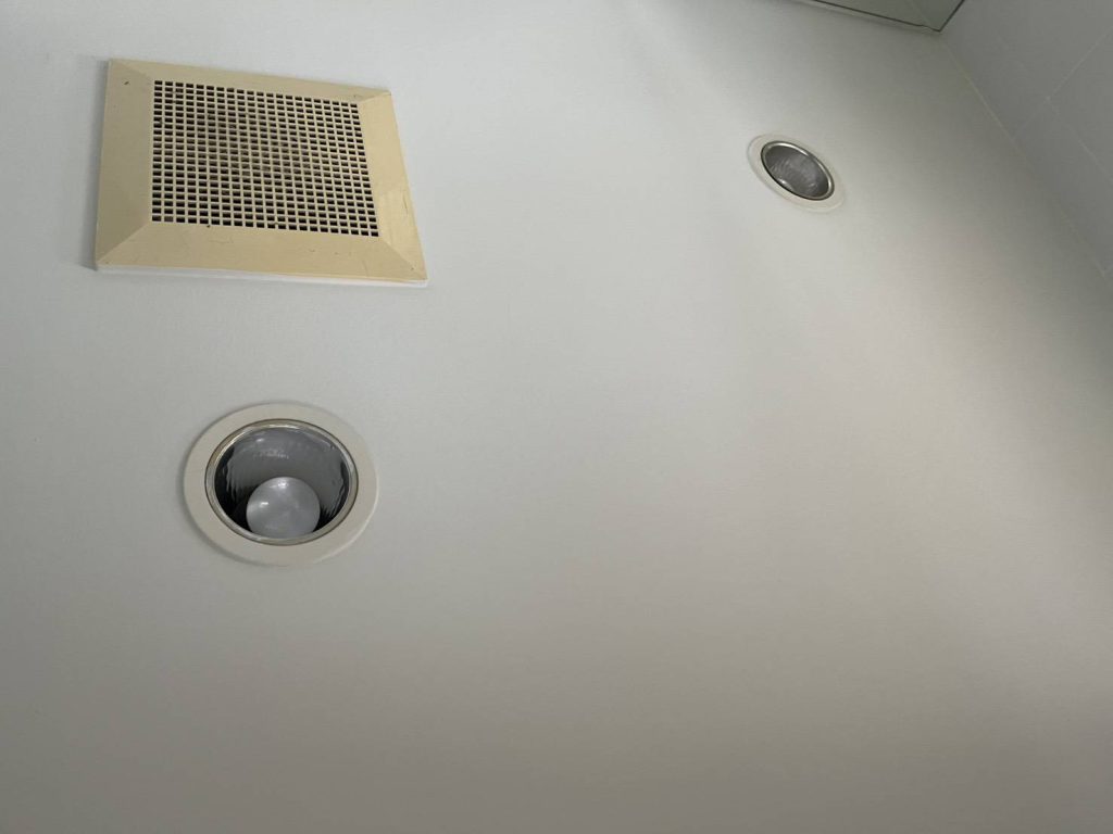 ดาวน์ไลท์