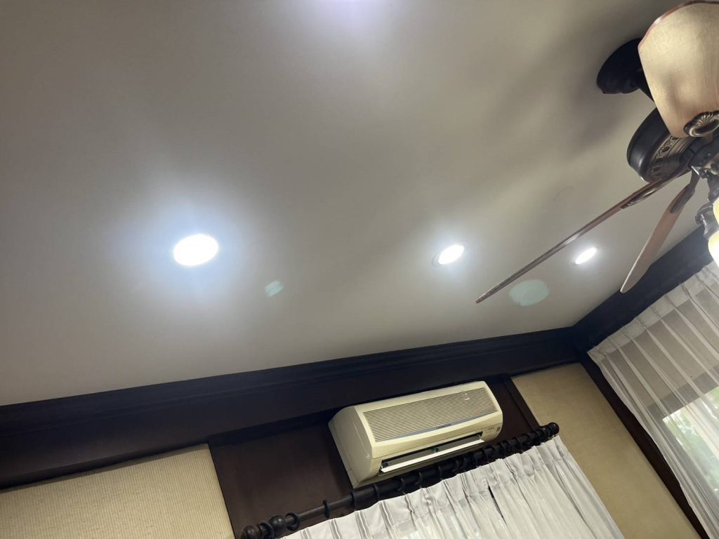 ดาวน์ไลท์